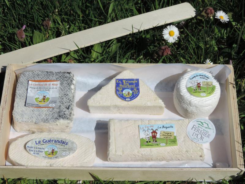 Plateau de fromages de chèvres (La Ferme de Villars)