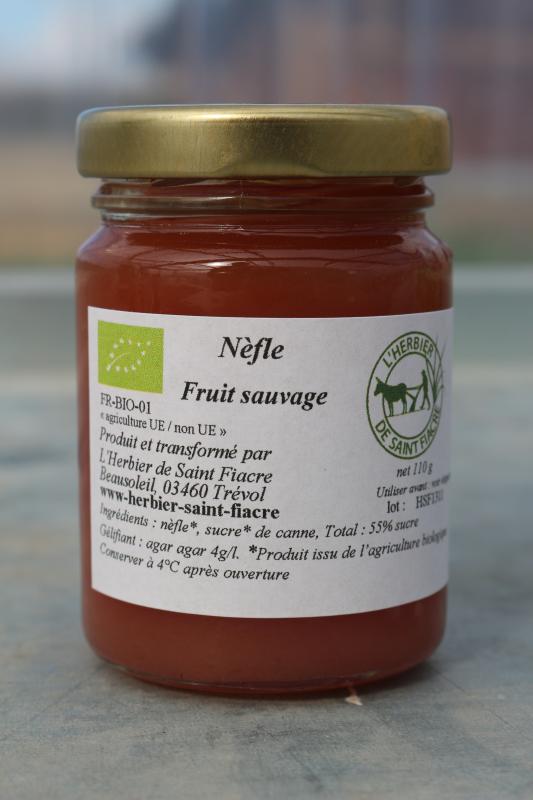 Nèfle sauvage (L'Herbier de Saint-Fiacre)