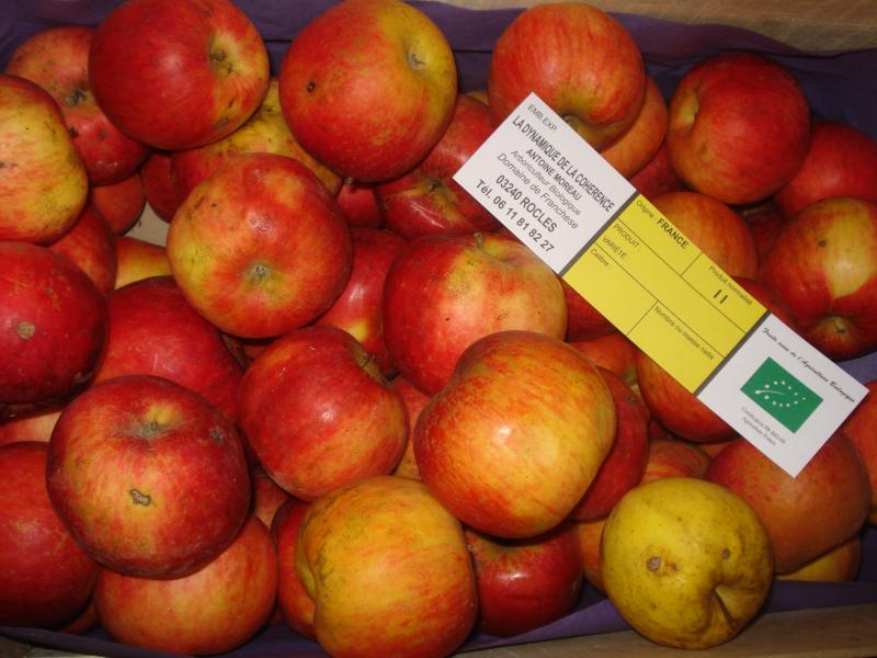 Pommes "Idared" - Sachet de 2kg (Domaine de Franchesse)