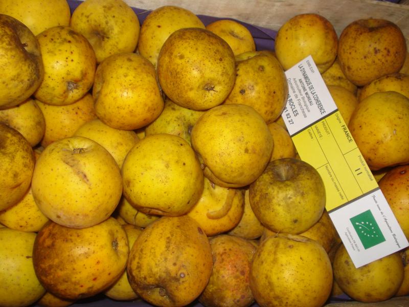Pommes "Goldrush" - Sachet de 2kg - Pommes 