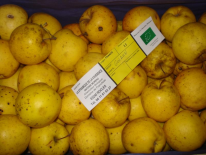 Pommes golden - sachet de 2kg (Domaine de Franchesse)