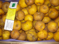 Pommes "Clochard" - Sachet de 2kg (Domaine de Franchesse)